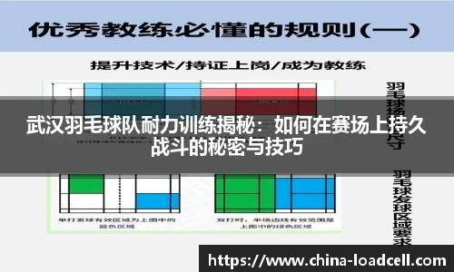 星空.综合体育