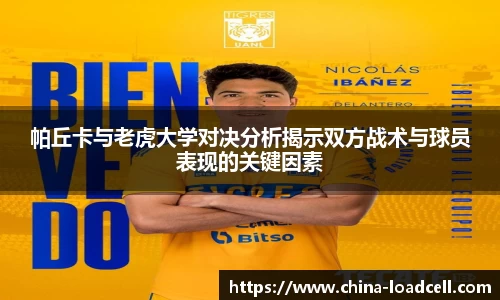 星空.综合体育(中国)官方网站